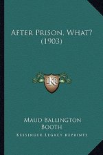 After Prison, What? (1903)