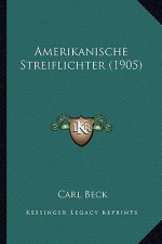 Amerikanische Streiflichter (1905)