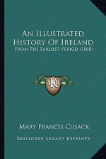 An Illustrated History Of Ireland: From The Earliest Period (1868)