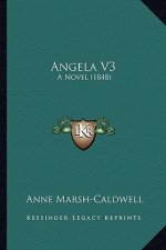 Angela V3: A Novel (1848)