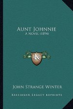 Aunt Johnnie: A Novel (1894)