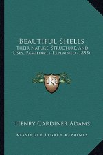 Beautiful Shells: Their Nature, Structure, and Uses, Familiarly Explained (1855)