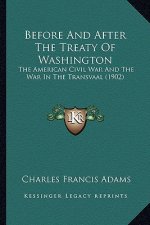 Before and After the Treaty of Washington: The American Civil War and the War in the Transvaal (1902)
