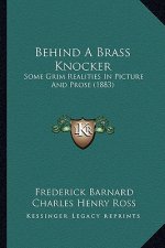 Behind a Brass Knocker: Some Grim Realities in Picture and Prose (1883)