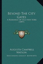 Beyond the City Gates: A Romance of Old New York (1897)