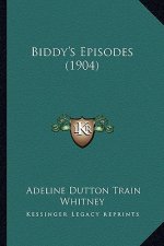 Biddy's Episodes (1904)