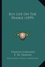 Boy Life on the Prairie (1899)