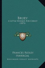 Bruey: A Little Worker for Christ (1873)