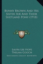 Bunny Brown and His Sister Sue and Their Shetland Pony (1918)