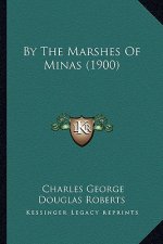 By the Marshes of Minas (1900)