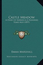 Castle Meadow: A Story Of Norwich A Hundred Years Ago (1897)