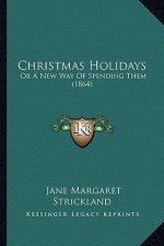 Christmas Holidays: Or a New Way of Spending Them (1864)