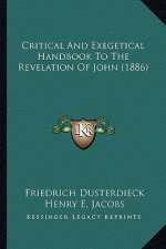Critical and Exegetical Handbook to the Revelation of John (1886)