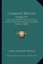 Common British Insects: Selected from Typical Beetles, Moths and Butterflies of Great Britain (1882)