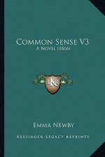 Common Sense V3: A Novel (1866)
