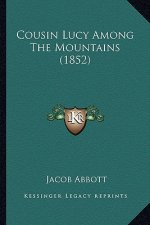 Cousin Lucy Among the Mountains (1852)
