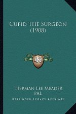 Cupid the Surgeon (1908)