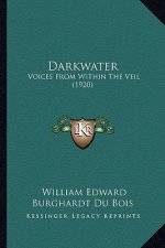 Darkwater: Voices from Within the Veil (1920)