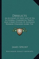 Derelicts: An Account Of Ships Lost At Sea In General Commercial Traffic And A Brief History Of Blockade Runners Stranded Along T