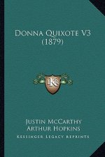 Donna Quixote V3 (1879)