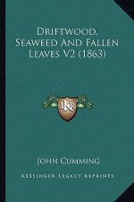 Driftwood, Seaweed and Fallen Leaves V2 (1863)