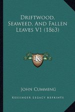 Driftwood, Seaweed, and Fallen Leaves V1 (1863)