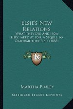Elsie's New Relations: What They Did and How They Fared at Ion, a Sequel to Grandmother Elsie (1883)