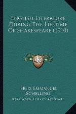 English Literature During the Lifetime of Shakespeare (1910)