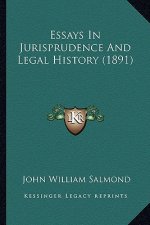 Essays In Jurisprudence And Legal History (1891)