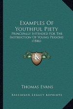 Examples of Youthful Piety: Principally Intended for the Instruction of Young Persons (1846)