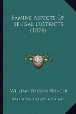 Famine Aspects of Bengal Districts (1874)