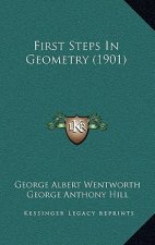 First Steps in Geometry (1901)