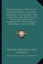 Five Hundred Practical Trade Receipts, General, Remedial, Veterinary, for Chemists and Druggists: Including Approximate Formulae of Several Popular Pr