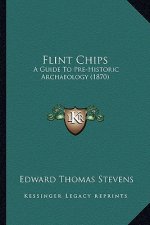 Flint Chips: A Guide To Pre-Historic Archaeology (1870)