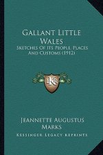 Gallant Little Wales: Sketches of Its People, Places and Customs (1912)