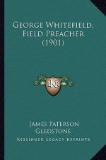 George Whitefield, Field Preacher (1901)