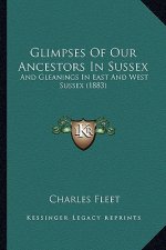 Glimpses of Our Ancestors in Sussex: And Gleanings in East and West Sussex (1883)