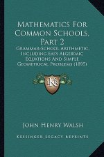 Mathematics for Common Schools, Part 2: Grammar-School Arithmetic, Including Easy Algebraic Equations and Simple Geometrical Problems (1895)