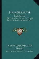 Hair-Breadth Escapes: Or the Adventures of Three Boys in South Africa (1877)