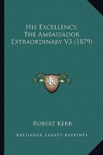 His Excellency, the Ambassador Extraordinary V3 (1879)