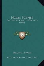 Home Scenes: Or Tavistock and Its Vicinity (1846)