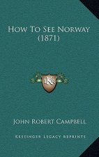 How to See Norway (1871)