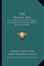 The Honey Bee: Its Natural History, Habits, Anatomy And Microscopical Beauties (1860)