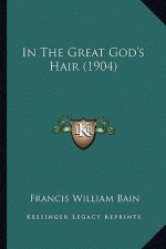 In the Great God's Hair (1904)