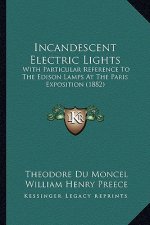 Incandescent Electric Lights: With Particular Reference to the Edison Lamps at the Paris Exposition (1882)