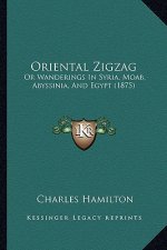 Oriental Zigzag: Or Wanderings in Syria, Moab, Abyssinia, and Egypt (1875)