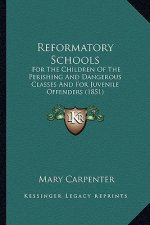 Reformatory Schools: For the Children of the Perishing and Dangerous Classes and for Juvenile Offenders (1851)