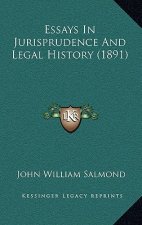 Essays In Jurisprudence And Legal History (1891)