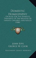Domestic Homeopathy: Or Rules for the Domestic Treatment of the Maladies of Infants, Children, and Adults (1848)