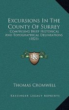 Excursions in the County of Surrey: Comprising Brief Historical and Topographical Delineations (1821)